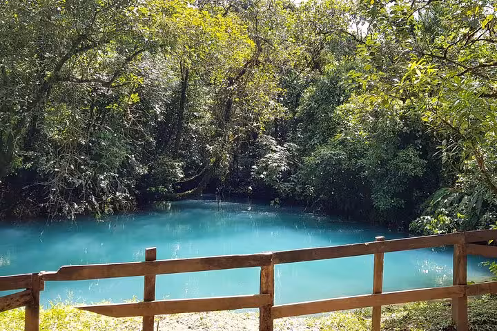 Serene turquoise pool in Rio Celeste, bordered by lush green rainforest and wooden railing under bright sunlight.