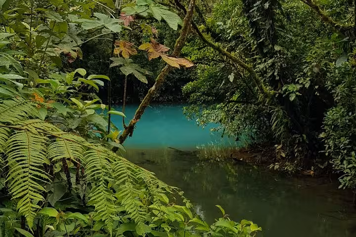 Vibrant turquoise waters of Rio Celeste surrounded by dense, green foliage in Costa Rica's stunning natural landscape.