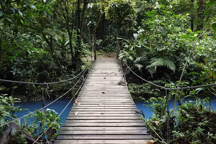 Wooden footbridge over vibrant blue Rio Celeste stream, surrounded by lush tropical rainforest foliage.