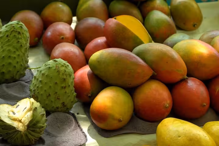 A vibrant display of ripe mangoes and soursop at a Rio de Janeiro market stall on the tropical fruit tour.