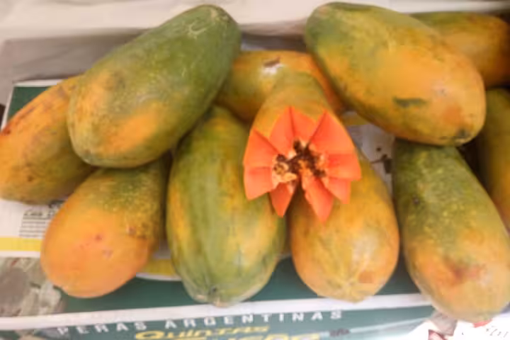 Ripe papayas with a decorative cut on display at a Rio market, highlighting exotic tropical fruit varieties.