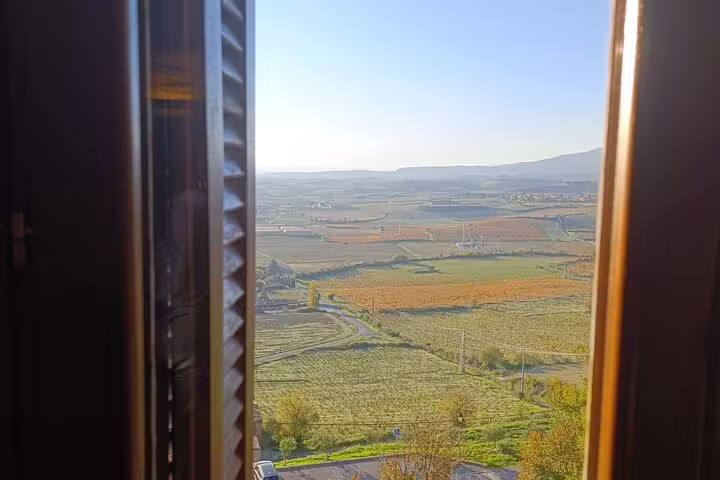 Scenic view of Rioja vineyards through a window, highlighting the lush landscape and rolling hills.