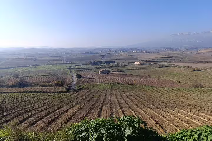 Discover the expansive vineyards of Rioja, offering breathtaking views and a serene landscape on this exclusive winery tour.