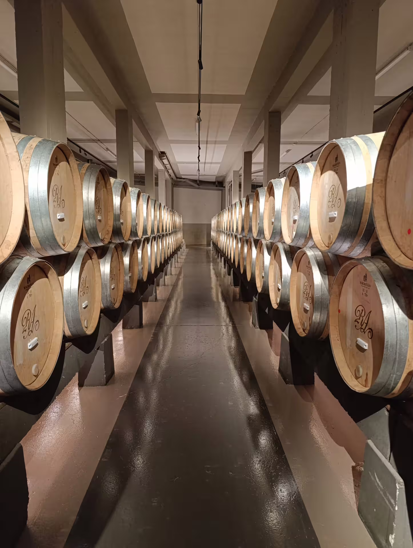Explore Rioja's wine cellars with rows of oak barrels on a Three Day Wine Experience tour.