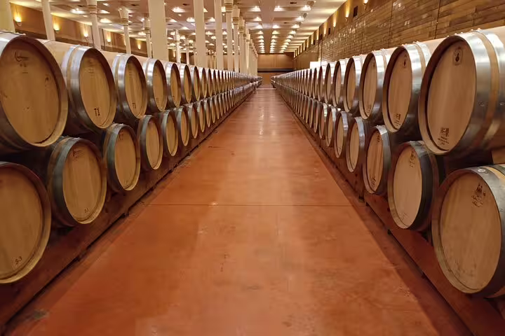 Expansive view of stacked wine barrels in a Rioja winery, highlighting the scale of wine production.