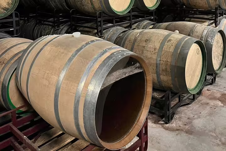 Traditional wooden wine barrels in a Rioja winery cellar, showcasing the art of wine aging.
