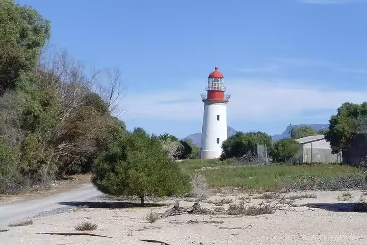 Iconic white and red lighthouse surrounded by lush greenery on Robben Island, Cape Town.