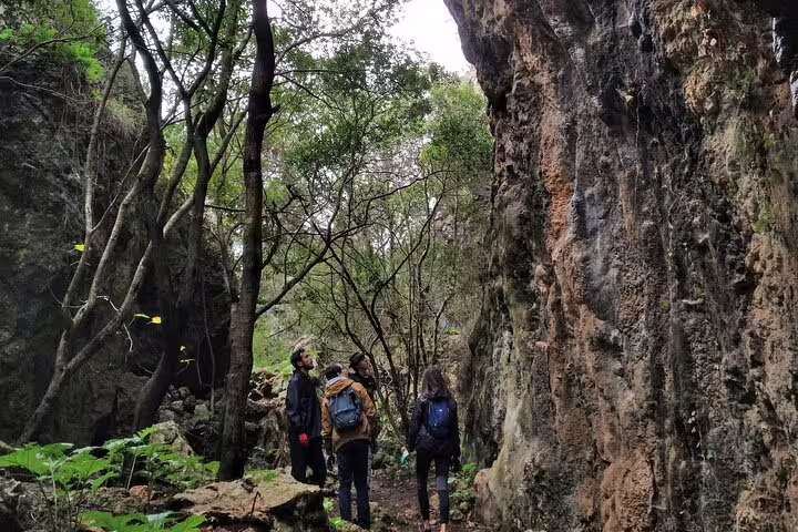 Group explores lush forest trail during full-day rock climbing adventure near Lisbon.