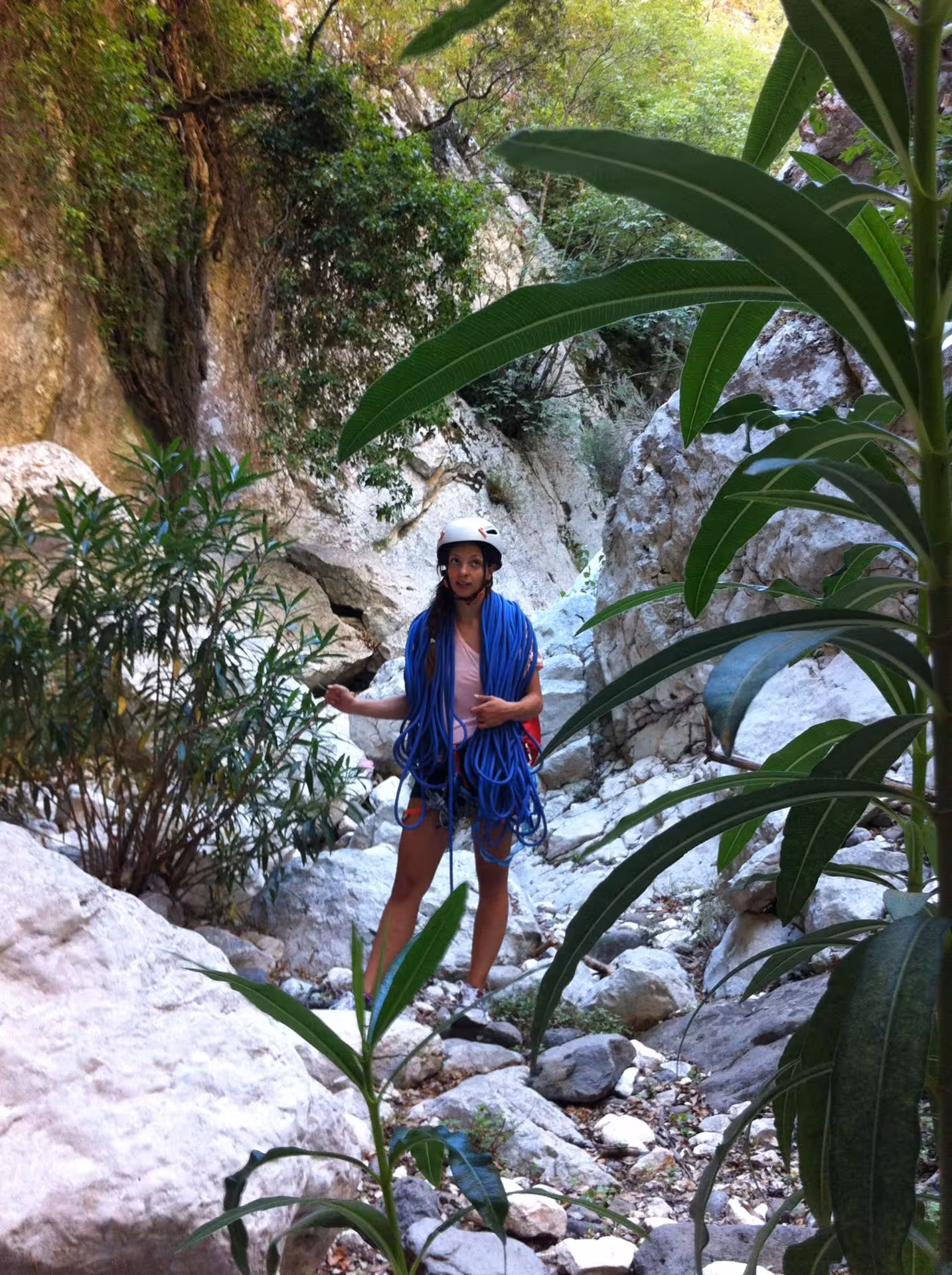 Climber with ropes in lush Fuili Canyon, preparing for an exciting rock climbing adventure in Cala Gonone, Sardinia.