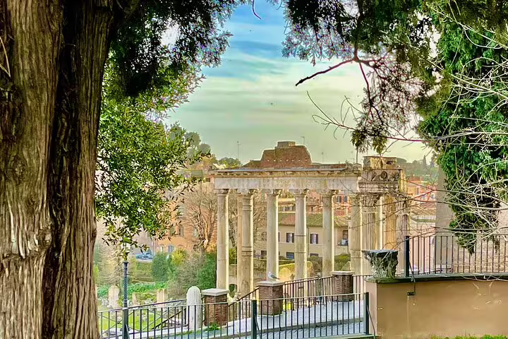Scenic lookout over ancient Roman Forum temple columns framed by trees on a Colosseum and Vatican guided tour