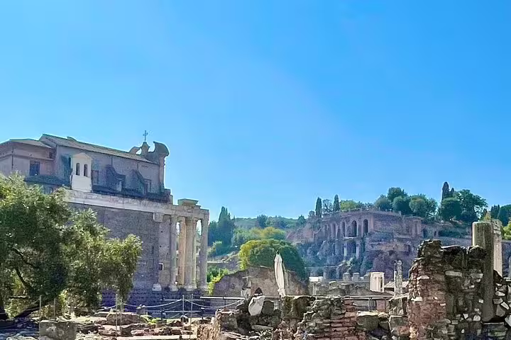 Wide view of Roman Forum ruins and Palatine Hill archaeological terraces under a clear sky on a Rome history tour