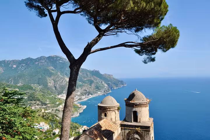 Scenic view from Ravello, Italy, featuring a pine tree, historic architecture, and the Amalfi Coastline.