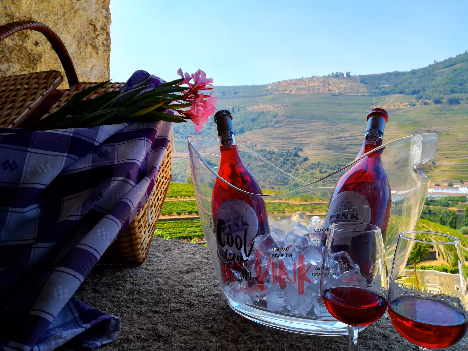 Chilled rosé wine tasting with picnic basket overlooking Douro Valley vineyards on an exclusive discovery tour