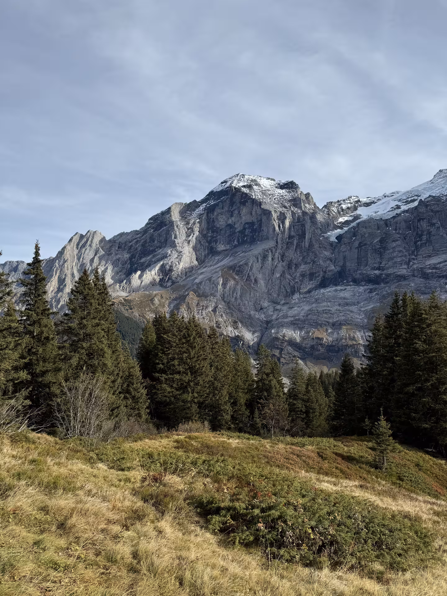 Snow-dusted alpine peak over Rosenlaui Valley meadows and fir trees, highlight of a private Swiss e-bike adventure