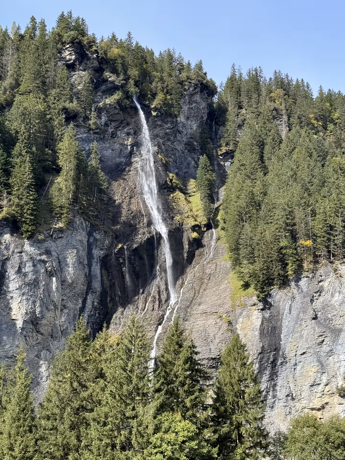 Tall alpine waterfall on rocky cliff above pine forest, scenic stop on Private Rosenlaui Valley e-bike tour