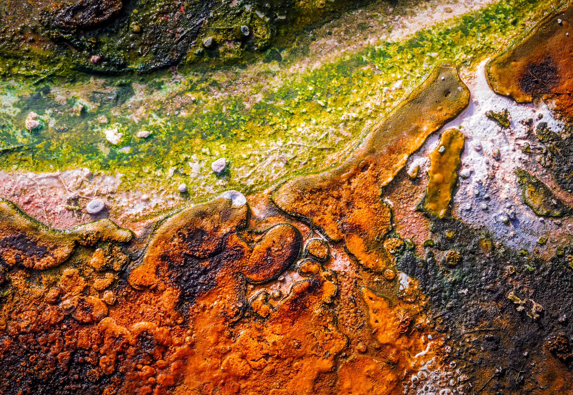 Vibrant geothermal colors at Rotorua's hot springs, showcasing unique natural formations and mineral-rich textures.