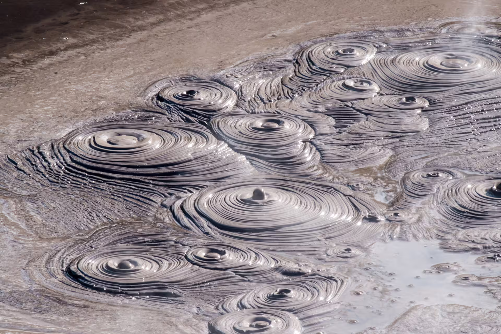 Close-up of bubbling geothermal mud pools in Rotorua, showcasing New Zealand's unique natural wonders.