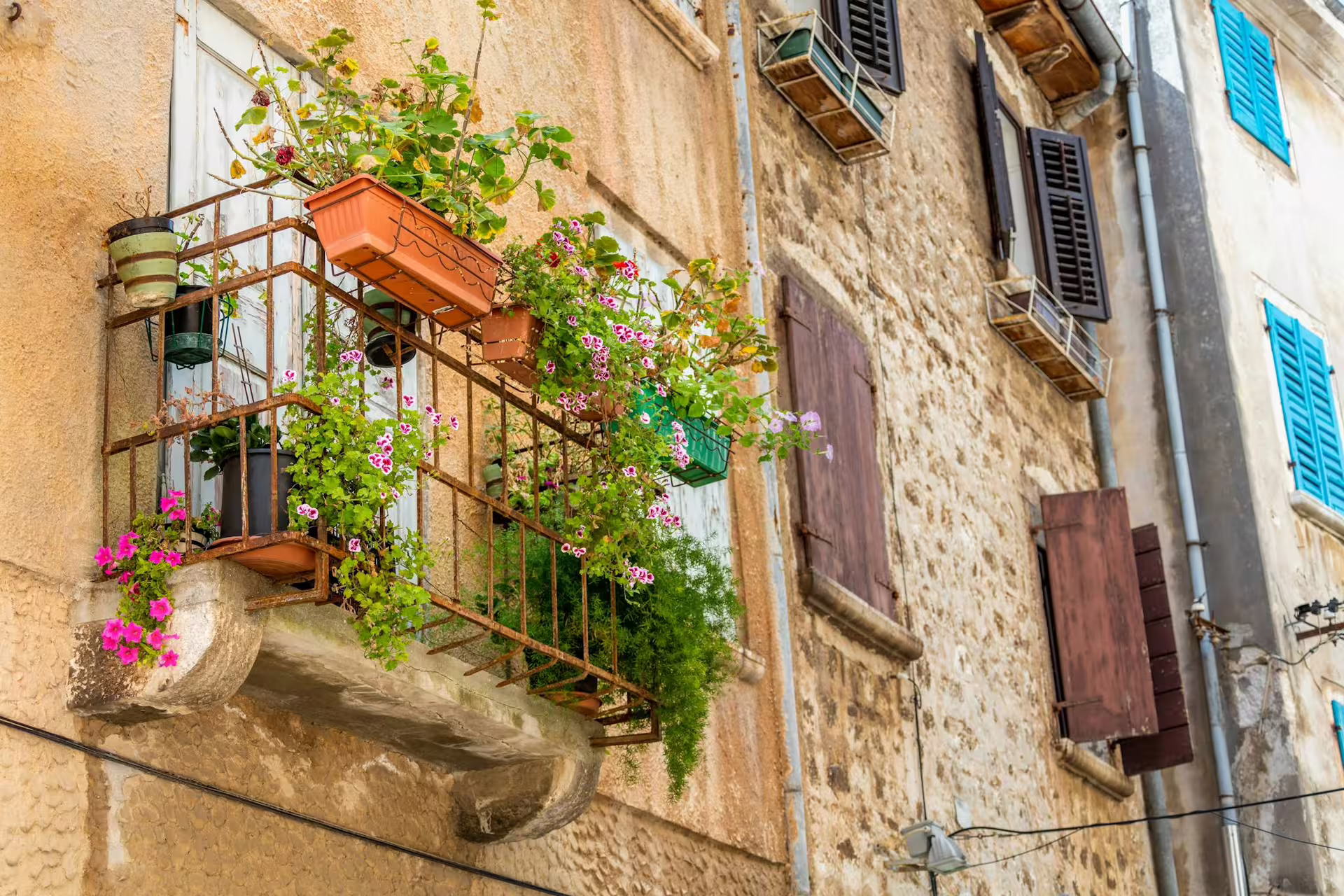 Flower-filled balcony on Rovinj old town stone facade, scenic stop on Ancient Istria day tour from Poreč