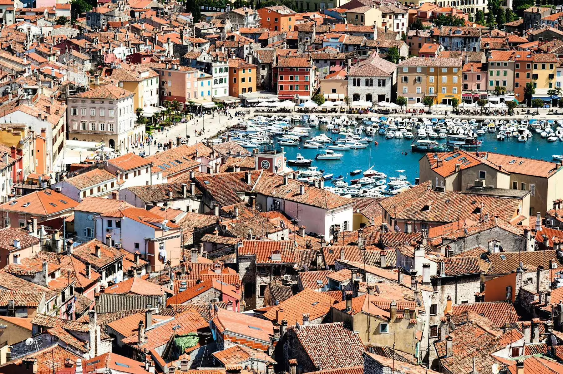 Rovinj old town and marina with boats and red rooftops, highlight of Istrian Coast boat cruise from Poreč
