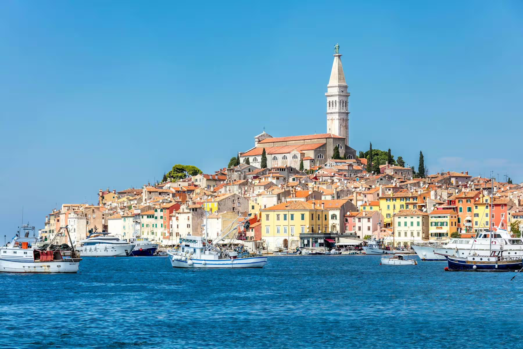 Rovinj old town skyline with St Euphemia church seen from the sea on an Istrian coast cruise from Poreč