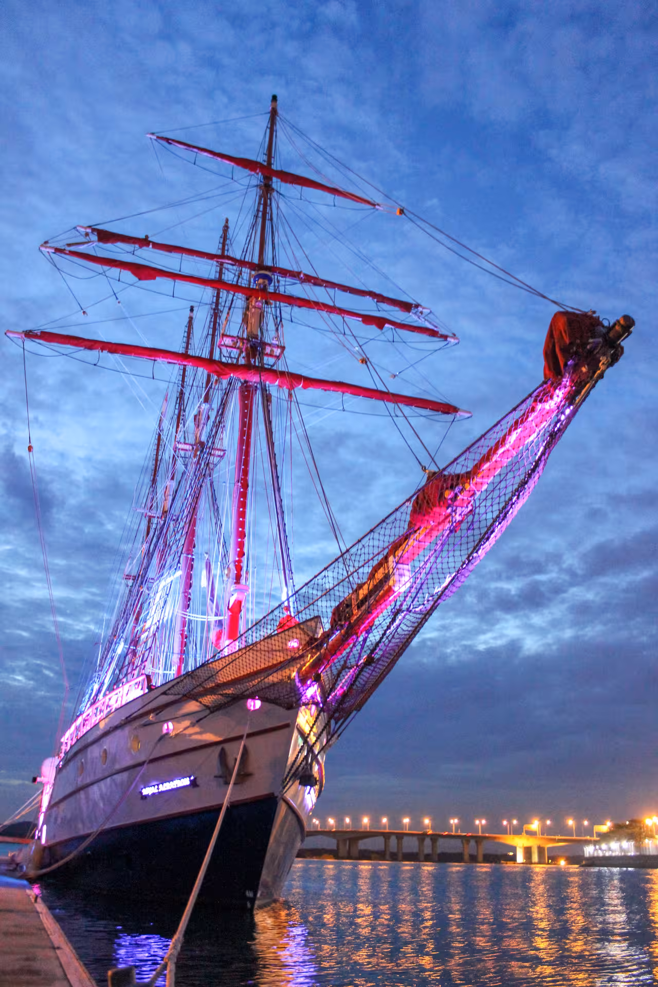 Royal Albatross docked at twilight, beautifully lit for an enchanting city lights cruise experience.