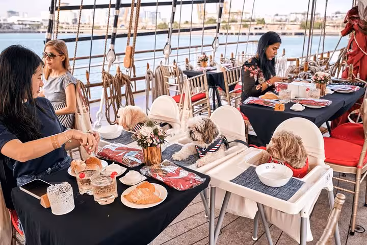 Elegant dining setup with dogs seated at tables on the Royal Albatross Dog Cruise, offering a unique culinary experience.
