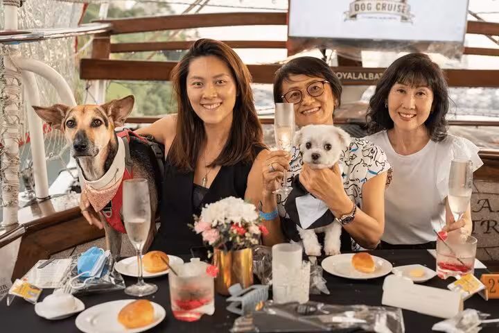 Guests enjoy a luxurious dinner with dogs onboard the Royal Albatross during a scenic sunset cruise.