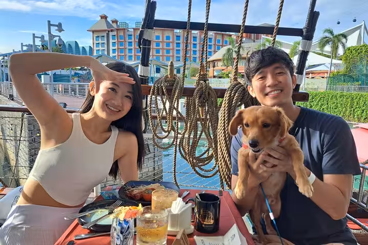 Couple with dog enjoying a sunset sail on the Royal Albatross, dining with a scenic view in the background.