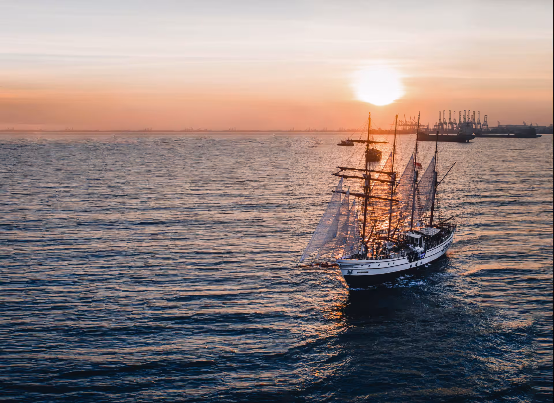 Majestic Royal Albatross sailing at sunset, offering a unique dinner cruise with breathtaking ocean views.
