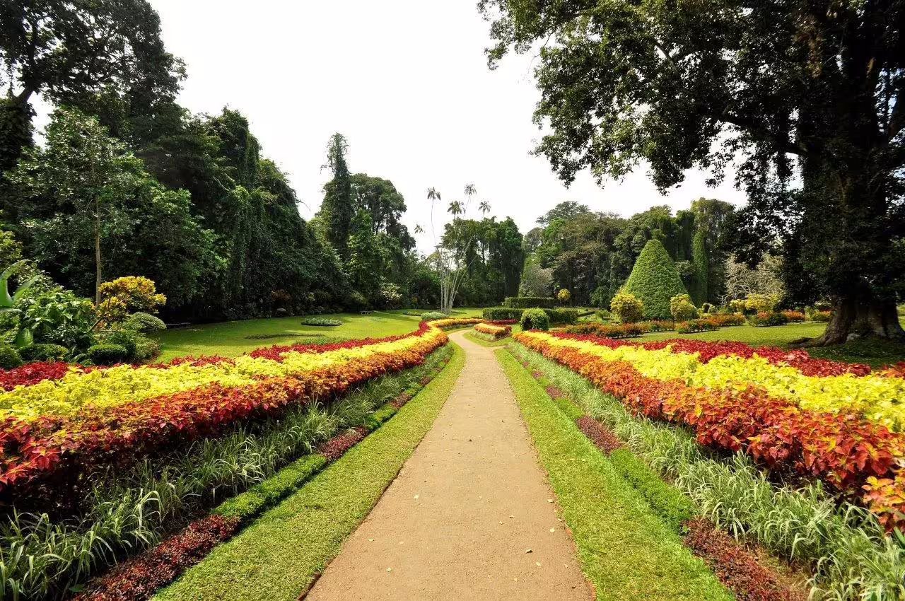 Colorful flower beds lining a pathway through the Royal Botanic Gardens in Kandy, Sri Lanka.