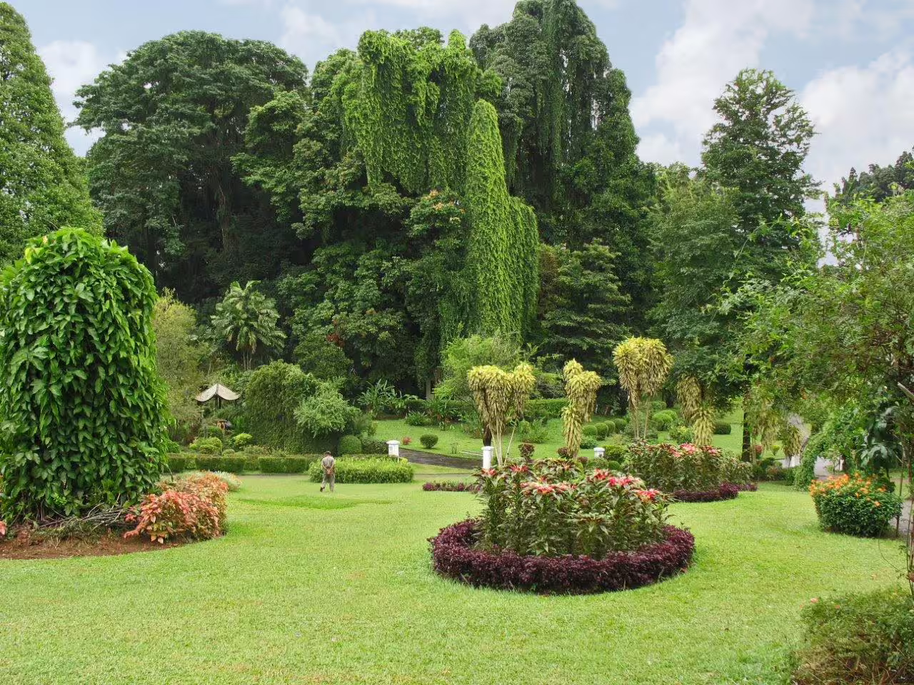 Lush greenery and manicured gardens at the Royal Botanic Gardens in Kandy, ideal for a serene nature walk.