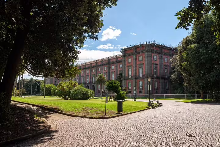 Explore the stunning architecture and lush gardens of the Royal Palace of Capodimonte during the Naples Highlights Tour.
