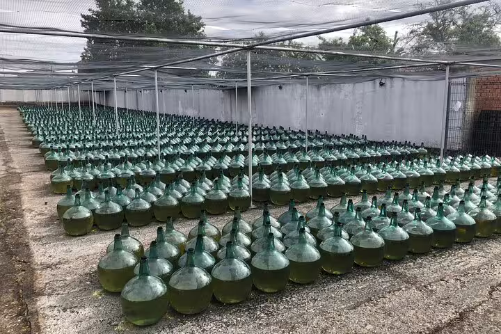 Rows of green glass jugs filled with white wine fermenting outdoors at a Rueda winery, part of the wine tour experience.