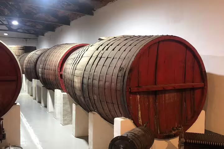 Explore traditional wine barrels in a rustic Rueda winery on our white wine tour from Madrid with Michelin-star lunch.