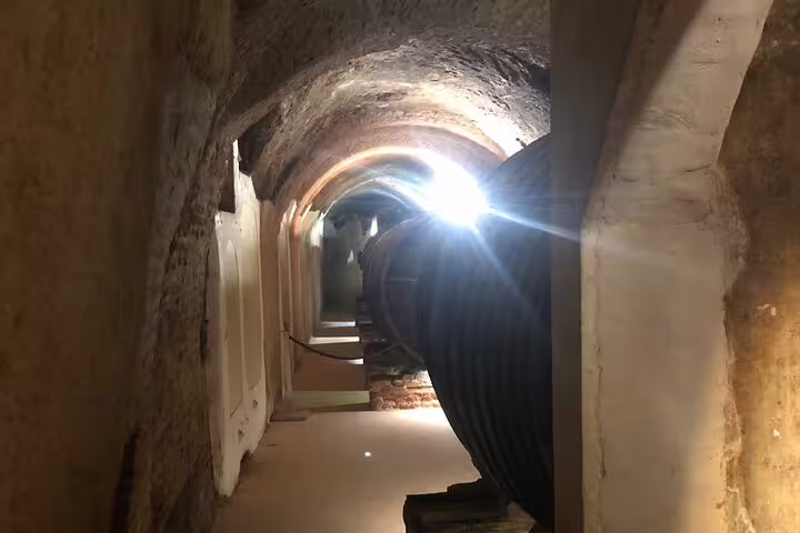 Explore historic wine cellars with large barrels on the Rueda White Wine Tour from Madrid.