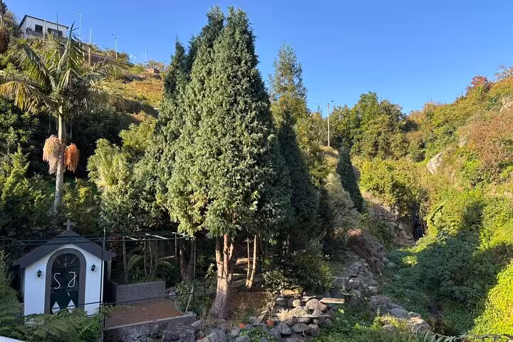 Rural Madeira stop with lush gardens, tall trees and rocky stream valley on Cultural Rural Madeira 4x4 trip