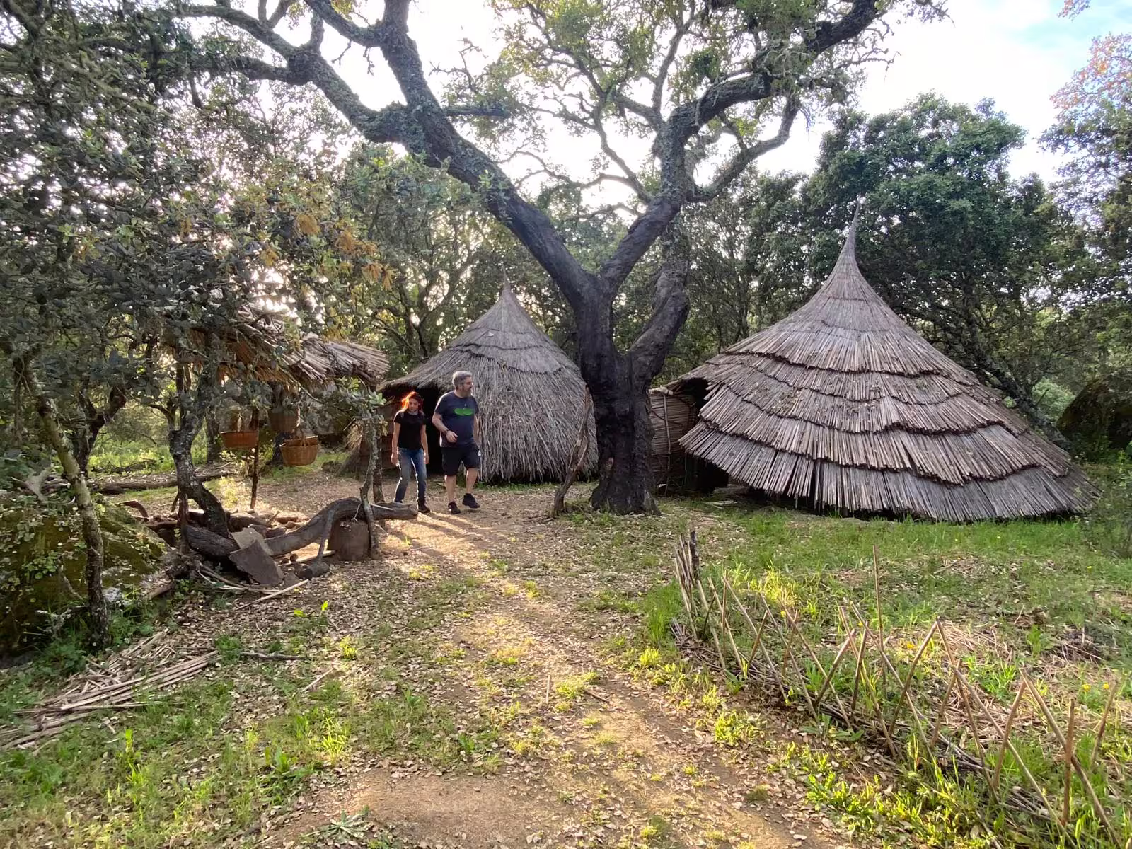 Rustic huts in a serene forest setting at Herdade Alentejana, ideal for nature lovers seeking authentic experiences.