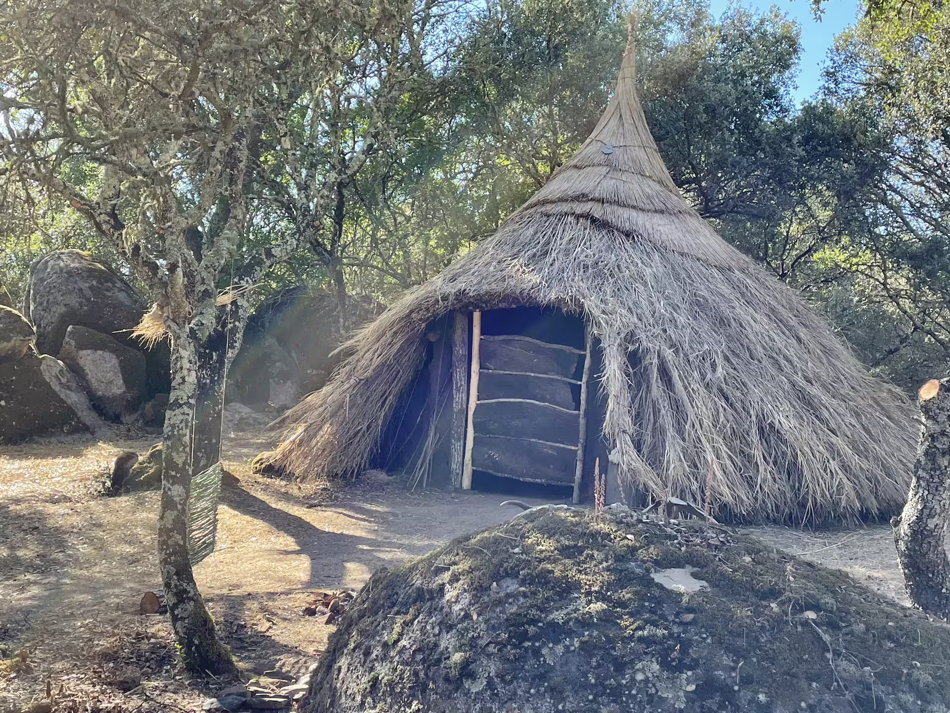 Rustic thatched hut surrounded by lush trees in Alentejo, perfect for an immersive nature retreat experience.