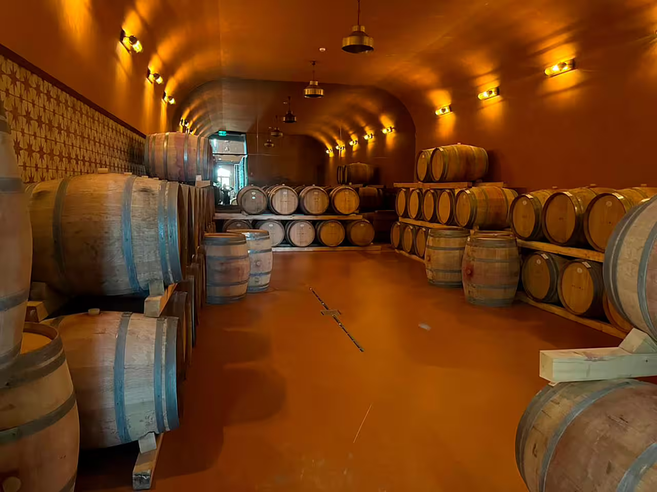 Rustic wine cellar with wooden barrels for wine and olive oil tasting tour, offering an authentic tasting experience.