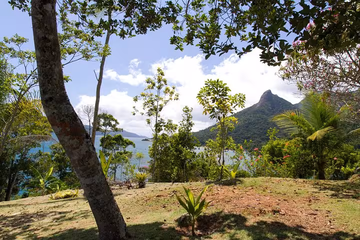 Scenic view of lush greenery and distant mountains at Saco Mamanguá Fjord beach tour destination.