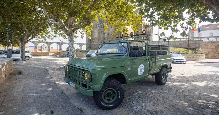 Green open-top safari jeep under trees near historic stone walls, North Coast Adventure nature and culture tour