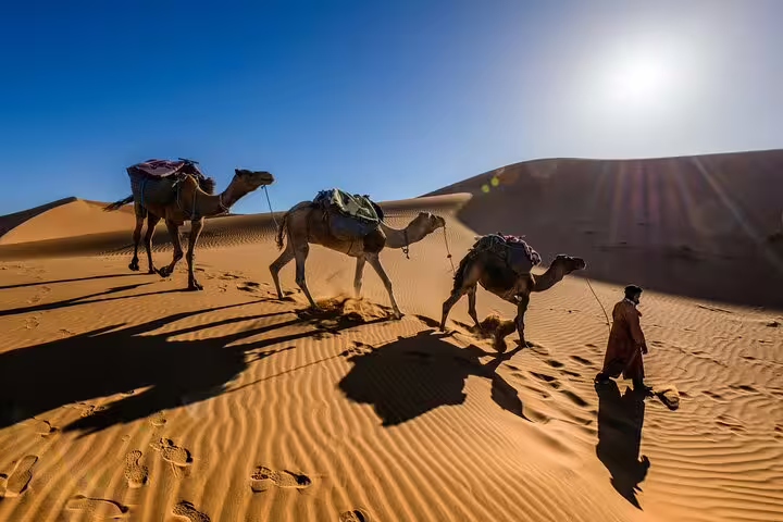 Sahara camel caravan on golden dunes at sunrise, Morocco desert experience on 15-day Casablanca tour