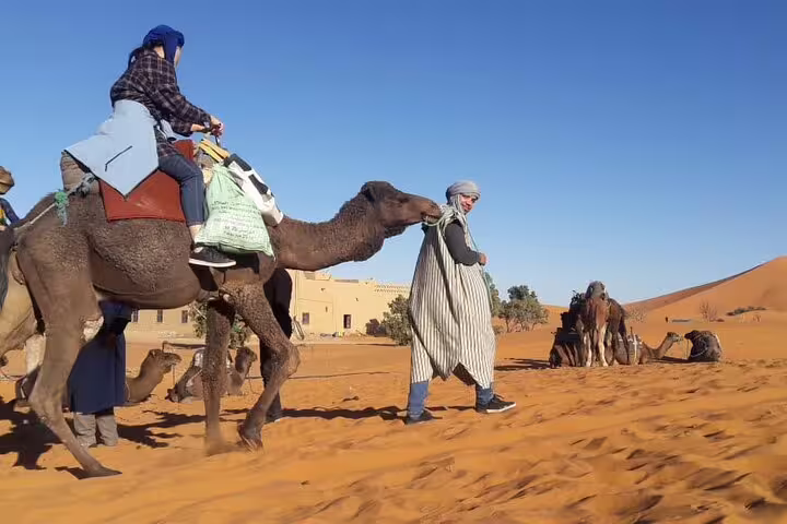 Sahara camel trek near Merzouga on Morocco 12 days tour from Casablanca, crossing golden Erg Chebbi dunes