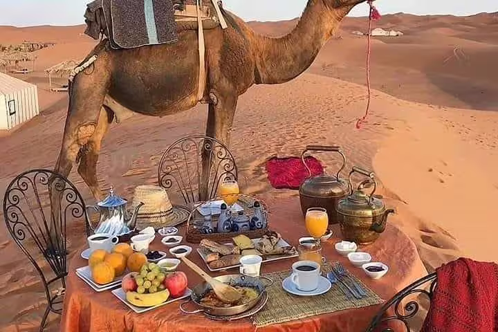 Sahara desert breakfast setup with camel beside dunes on Morocco 12-day 11-night desert tour from Agadir