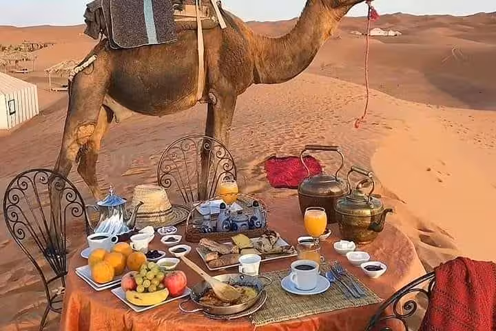 Sahara desert camp breakfast with camel in Erg Chebbi dunes, Big Morocco Tour 15 days from Casablanca