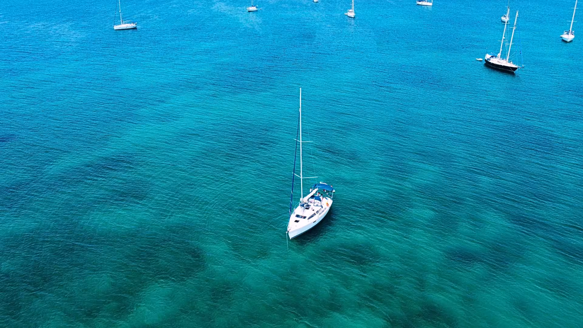 Sailboats anchored in the vibrant blue waters of Porto Conte Park, perfect for a scenic tour from Alghero.