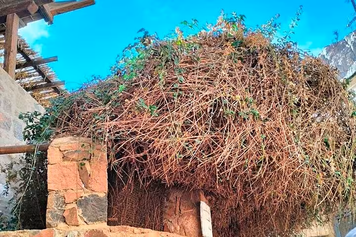 Rustic stone building with vine-covered roof near Saint Catherine Monastery, part of Dahab one day trip