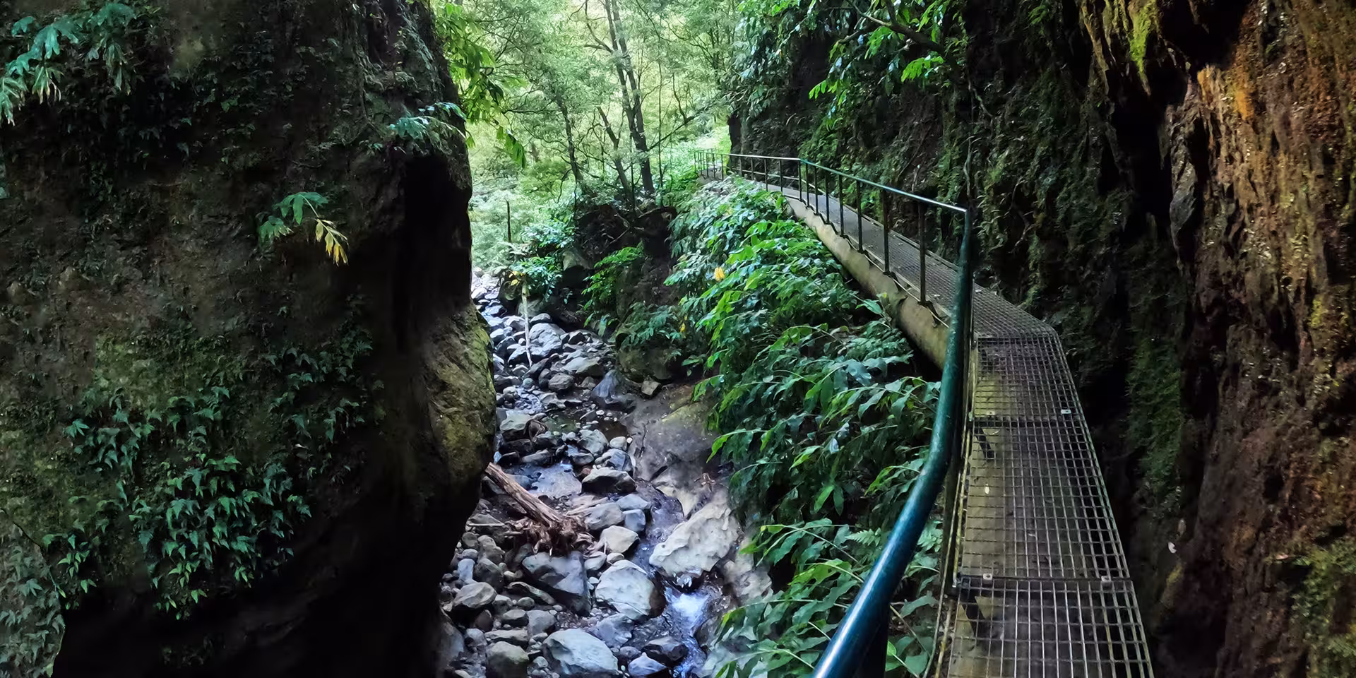 Trail access to Canyoning at Salto do Cabrito, a metal walkway through a lush gorge above a rocky stream