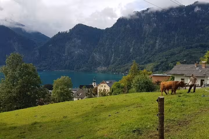 Austrian Alps meadow with cow and lakeside village view on a Salzburg small-group day trip from Vienna