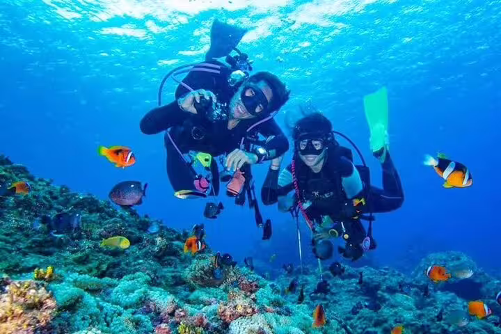 Scuba divers over vibrant coral reef on Samadai Dolphin House snorkeling trip by VIP boat from Marsa Alam